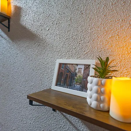 Cosy Duplex Au Coeur Toulouse