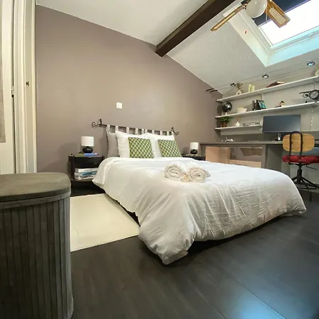 Cosy Duplex Au Coeur Apartment